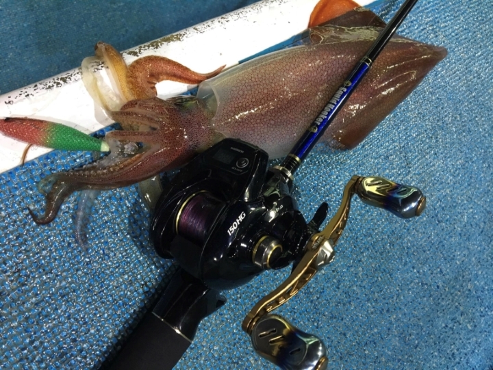 19グラップラー