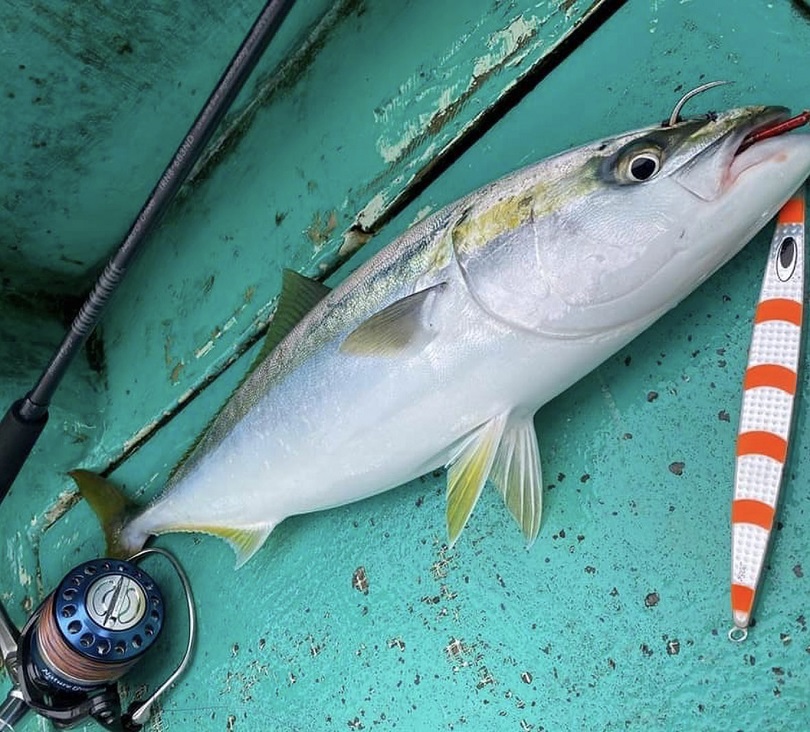 ジギングロッド