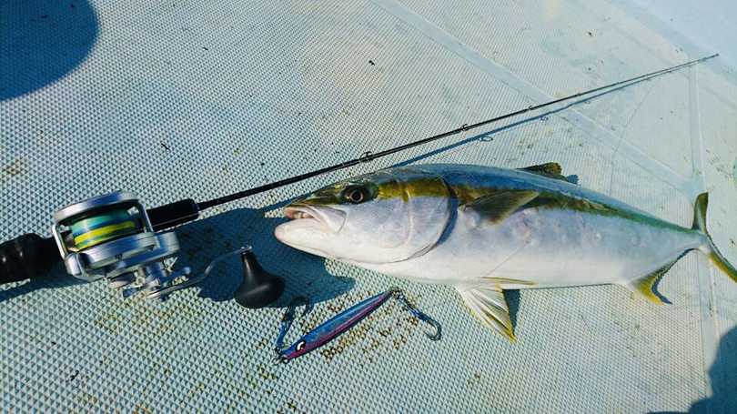 スロージギング ヒラマサ