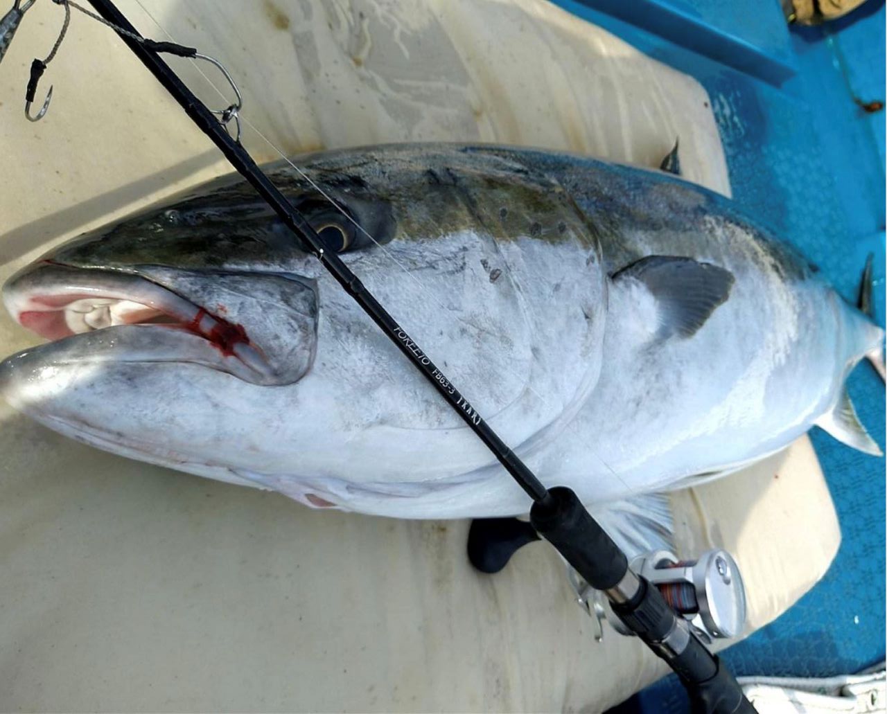 スロージギングロッド