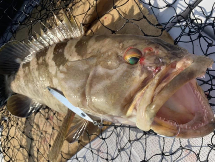 シマノSLJロッド