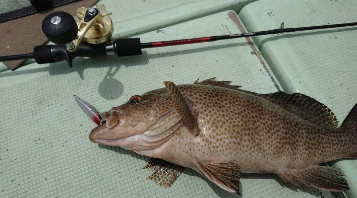 シマノsljリール