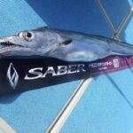 タチウオジギングロッド