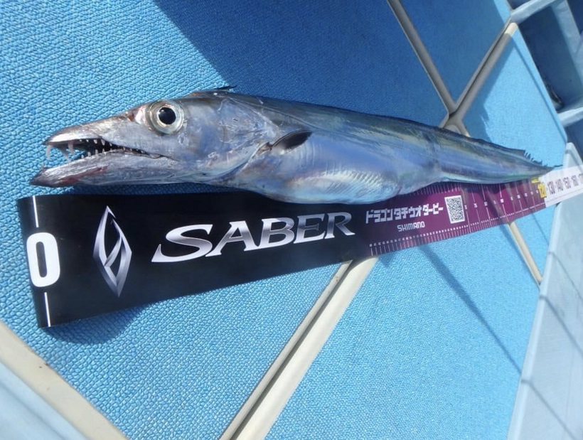 タチウオジギングロッド